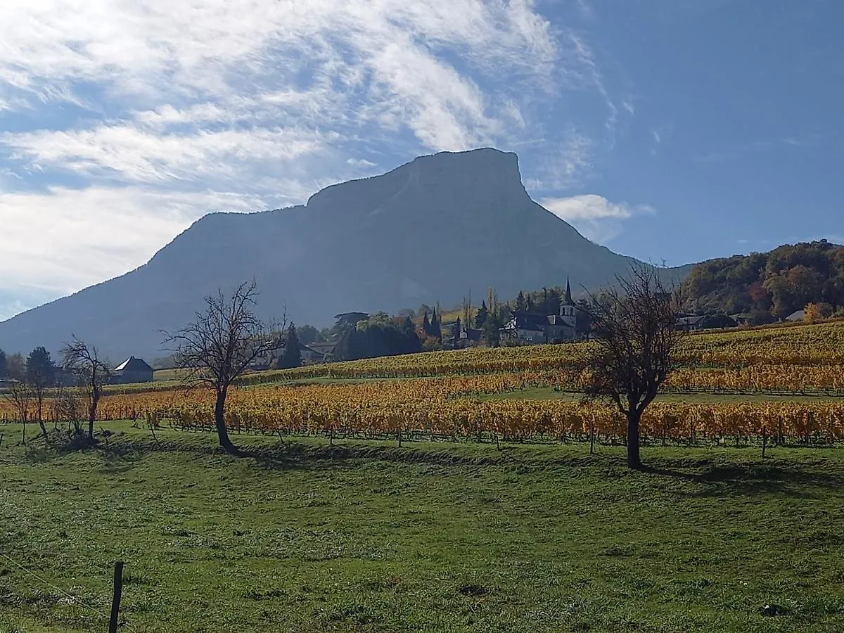 Le Saint Vincent Hotel Apremont Apremont (Savoie)